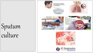 Diagnostic Blood Testing Procedures   and comprehensive