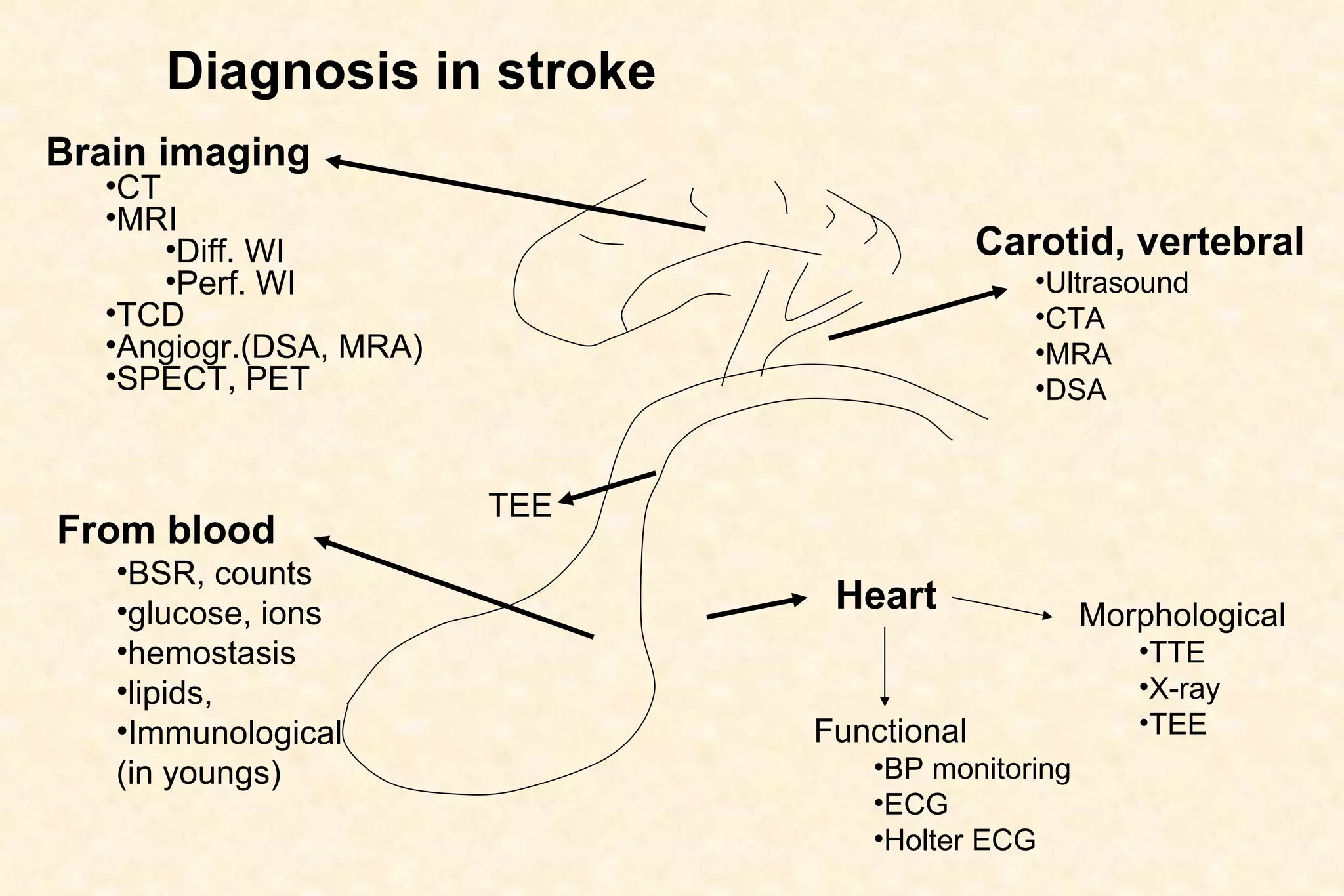 Diagnosis in stroke From blood BSR, counts glucose, ions hemostasis lipids,  Immunological (in youngs) Heart Functional BP monitoring ECG Holter ECG Morphological TTE X-ray TEE TEE Carotid, vertebral Ultrasound CTA MRA DSA Brain imaging CT MRI Diff. WI Perf. WI TCD Angiogr.(DSA, MRA) SPECT, PET 