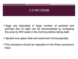 5.2 NIH SWAB
 Eggs are deposited in large number of perianal and
perineal skin at night can be demonstrated by scrapping
this area by NIH swab in the morning before taking bath.
 Spread over glass slide and examined microscopically.
This procedure should be repeated on the three successive
days.
 