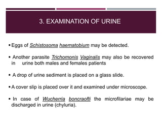 3. EXAMINATION OF URINE
 Eggs of Schistosoma haematobium may be detected.
 Another parasite Trichomonis Vaginalis may also be recovered
in urine both males and females patients
 A drop of urine sediment is placed on a glass slide.
 A cover slip is placed over it and examined under microscope.
 In case of Wucherria boncraofti the microfilariae may be
discharged in urine (chyluria).
 