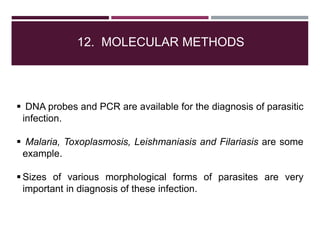 12. MOLECULAR METHODS
 DNA probes and PCR are available for the diagnosis of parasitic
infection.
 Malaria, Toxoplasmosis, Leishmaniasis and Filariasis are some
example.
 Sizes of various morphological forms of parasites are very
important in diagnosis of these infection.
 