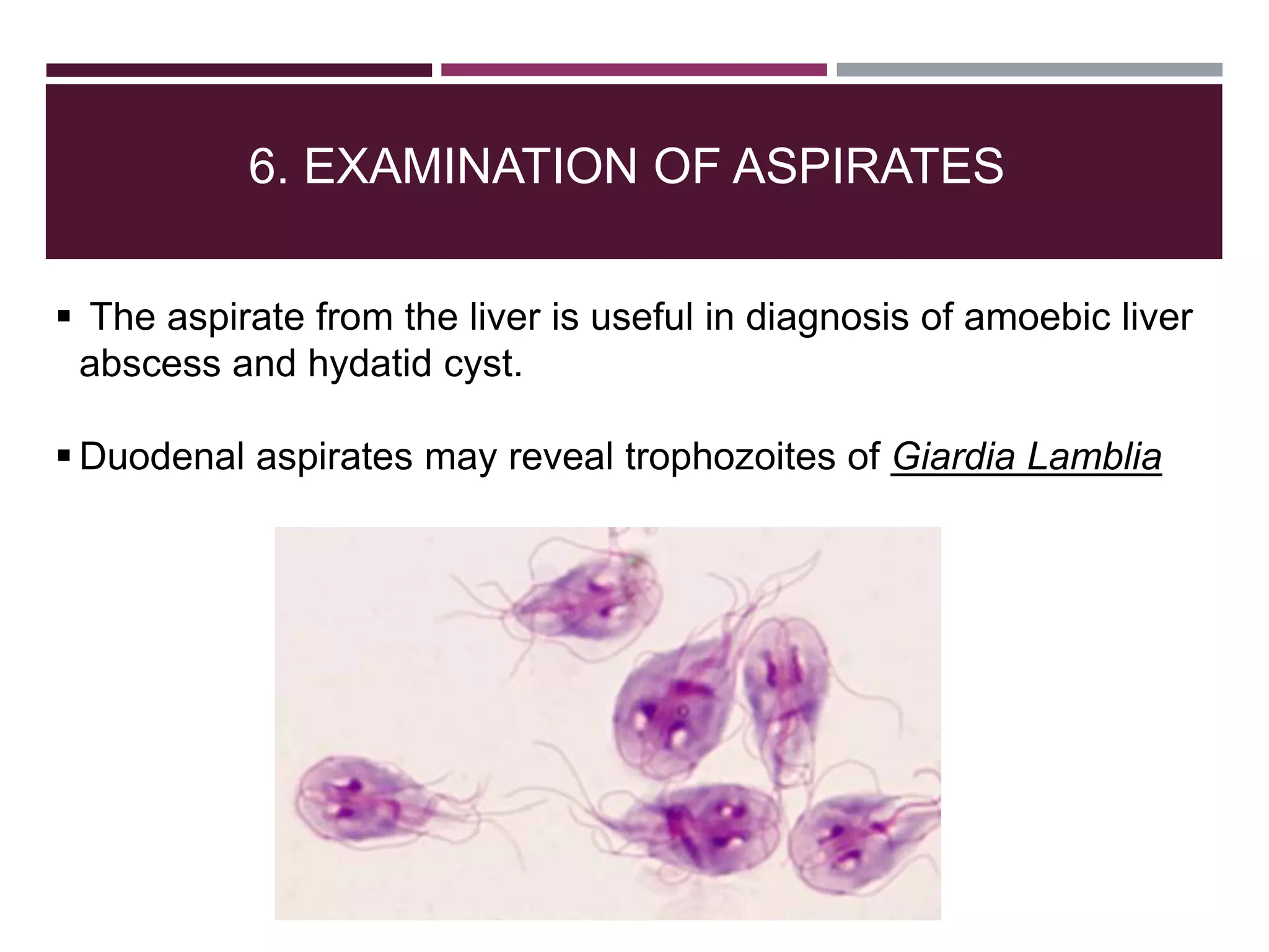 6. EXAMINATION OF ASPIRATES
 The aspirate from the liver is useful in diagnosis of amoebic liver
abscess and hydatid cyst.
 Duodenal aspirates may reveal trophozoites of Giardia Lamblia
 