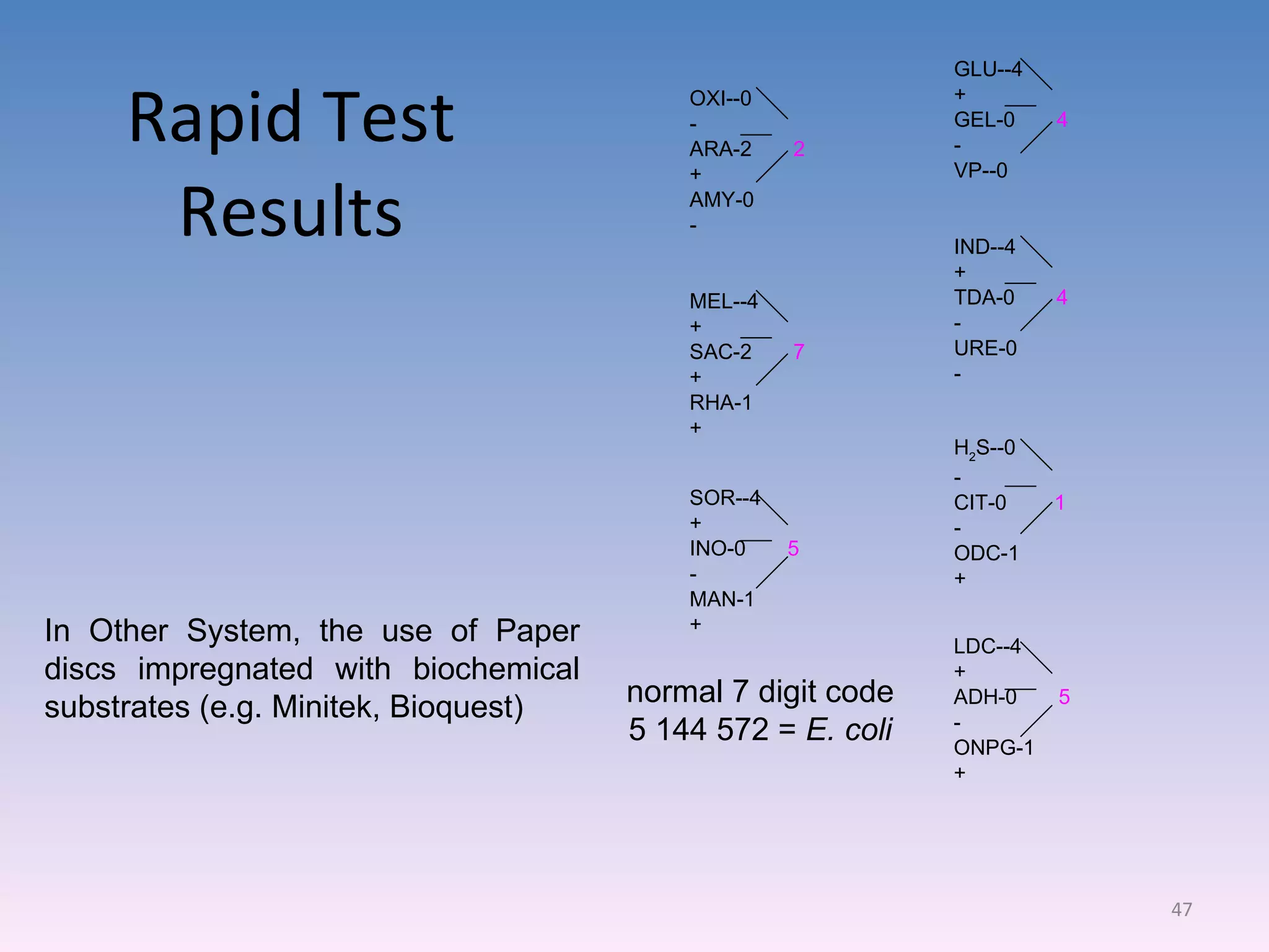 Rapid Test Results In Other System, the use of Paper discs impregnated with biochemical substrates (e.g. Minitek, Bioquest)  OXI--0 - ARA-2  2 + AMY-0 - MEL--4 + SAC-2  7 + RHA-1 + SOR--4 + INO-0  5 - MAN-1 + GLU--4 + GEL-0  4 - VP--0 IND--4 + TDA-0  4 - URE-0 - H 2 S--0 - CIT-0  1 - ODC-1 + LDC--4 + ADH-0  5 - ONPG-1 + normal 7 digit code 5 144 572 =  E. coli 