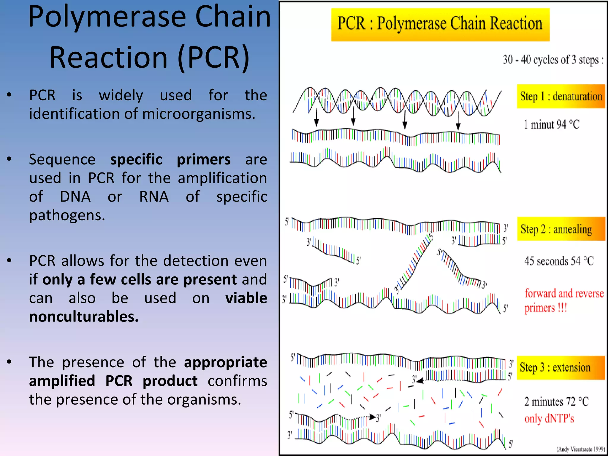 Polymerase Chain Reaction (PCR) PCR is widely used for the identification of microorganisms. Sequence  specific primers  are used in PCR for the amplification of DNA or RNA of specific pathogens. PCR allows for the detection even if  only a few cells are present  and can also be used on  viable nonculturables. The presence of the  appropriate amplified PCR product  confirms the presence of the organisms. 