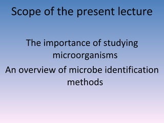Scope of the present lecture The importance of studying microorganisms An overview of microbe identification methods 