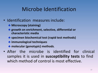 Microbe Identification Identification  measures include: Microscopy (staining) growth on enrichment, selective, differential or characteristic media specimen biochemical test (rapid test methods) immunological techniques molecular (genotypic) methods . After the microbe is identified for clinical samples it is used in  susceptibility tests  to find  which method of control is most effective. 