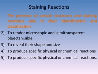Staining Reactions The presence of certain structures and staining reactions aids in their identification and classification To render microscopic and semitransparent objects visible  To reveal their shape and size  To produce specific physical or chemical reactions To produce specific physical or chemical reactions. 