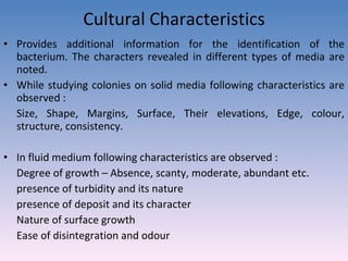 Cultural Characteristics Provides additional information for the identification of the bacterium. The characters revealed in different types of media are noted.  While studying colonies on solid media following characteristics are observed : Size, Shape, Margins, Surface, Their elevations, Edge, colour, structure, consistency. In fluid medium following characteristics are observed : Degree of growth – Absence, scanty, moderate, abundant etc. presence of turbidity and its nature presence of deposit and its character Nature of surface growth Ease of disintegration and odour 