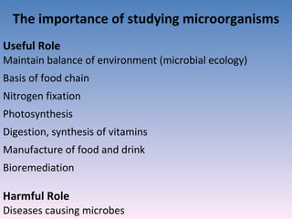 The importance of studying microorganisms Useful Role  Maintain balance of environment (microbial ecology) Basis of food chain Nitrogen fixation Photosynthesis Digestion, synthesis of vitamins Manufacture of food and drink Bioremediation Harmful Role Diseases causing microbes 
