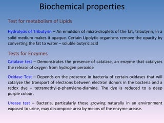 Biochemical properties Test for metabolism of Lipids Hydrolysis of Tributyrin  – An emulsion of micro-droplets of the fat, tributyrin, in a solid medium makes it opaque. Certain Lipolytic organisms remove the opacity by converting the fat to water – soluble butyric acid Tests for Enzymes  Catalase test  – Demonstrates the presence of catalase, an enzyme that catalyses the release of oxygen from hydrogen peroxide Oxidase Test  – Depends on the presence in bacteria of certain oxidases that will catalyze the transport of electrons between electron donors in the bacteria and a redox dye – tetramethyl-p-phenylene-diamine. The dye is reduced to a deep purple colour.  Urease test  – Bacteria, particularly those growing naturally in an environment exposed to urine, may decompose urea by means of the enzyme urease.  