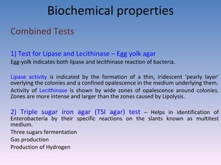 Biochemical properties Combined Tests 1) Test for Lipase and Lecithinase – Egg yolk agar   Egg-yolk indicates both lipase and lecithinase reaction of bacteria.  Lipase activity  is indicated by the formation of a thin, iridescent ‘pearly layer’ overlying the colonies and a confined opalescence in the medium underlying them. Activity of  Lecithinase  is shown by wide zones of opalescence around colonies. Zones are more intense and larger than the zones caused by Lipolysis.  2) Triple sugar iron agar (TSI agar) test  – Helps in identification of Enterobacteria by their specific reactions on the slants known as multitest medium. Three sugars fermentation  Gas production Production of Hydrogen  