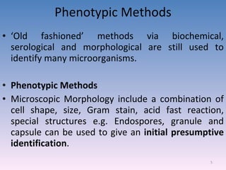 Phenotypic Methods ‘ Old fashioned’ methods via biochemical, serological and morphological are still used to identify many microorganisms. Phenotypic Methods Microscopic Morphology include a combination of cell shape, size, Gram stain, acid fast reaction, special structures e.g. Endospores, granule and capsule can be used to give an  initial presumptive identification . 