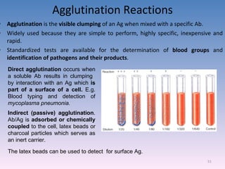 Agglutination Reactions Agglutination  is the  visible clumping  of an Ag when mixed with a specific Ab. Widely used because they are simple to perform, highly specific, inexpensive and rapid. Standardized tests are available for the determination of  blood groups  and  identification of pathogens and their products . Direct agglutination  occurs when a soluble Ab results in clumping  by interaction with an Ag which  is part of a surface of a cell.  E.g. Blood typing and detection of  mycoplasma pneumonia. Indirect (passive) agglutination . Ab/Ag is  adsorbed or chemically coupled  to the cell, latex beads or charcoal particles which serves as an inert carrier. The latex beads can be used to detect  for surface Ag. 