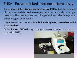 ELISA - Enzyme-linked immunosorbent assay The  enzyme-linked immunosorbent assay (ELISA)  has become one of the most widely used serological tests for antibody or antigen detection. This test involves the linking of various “label” enzymes to either antigens or antibodies.  Enzymes used in ELISA include  Alkaline Phosphate, Peroxidase  and  ß Galactosidase . During  indirect ELISA  the Ag is trapped between two Ab molecules (sandwich ELISA). 