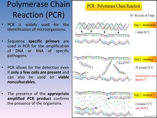 Polymerase Chain Reaction (PCR) PCR is widely used for the identification of microorganisms. Sequence  specific primers  are used in PCR for the amplification of DNA or RNA of specific pathogens. PCR allows for the detection even if  only a few cells are present  and can also be used on  viable nonculturables. The presence of the  appropriate amplified PCR product  confirms the presence of the organisms. 