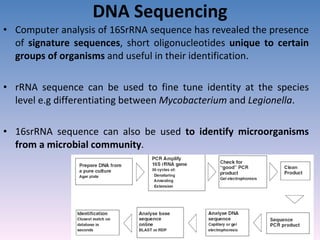 DNA Sequencing Computer analysis of 16SrRNA sequence has revealed the presence of  signature sequences , short oligonucleotides  unique to certain groups of organisms  and useful in their identification. rRNA sequence can be used to fine tune identity at the species level e.g differentiating between  Mycobacterium  and  Legionella . 16srRNA sequence can also be used  to identify microorganisms from a microbial community . 