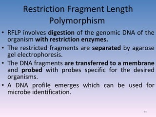 Restriction Fragment Length Polymorphism   RFLP involves  digestion  of the genomic DNA of the organism  with restriction enzymes.   The restricted fragments are  separated  by agarose gel electrophoresis. The DNA fragments  are transferred to a membrane  and  probed  with probes specific for the desired organisms. A DNA profile emerges which can be used for microbe identification.  