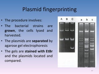 Plasmid fingerprinting The procedure involves: The bacterial strains are  grown , the cells lysed and harvested. The plasmids are  separated  by agarose gel electrophoresis The gels are  stained with EtBr  and the plasmids located and compared. 