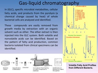 Gas-liquid chromatography In (GLC), specific microbial metabolites, cellular fatty acids, and products from the pyrolysis (a chemical change caused by heat) of whole bacterial cells are analyzed and identified.  These  compounds are easily removed from growth media by extraction with an organic solvent such as ether. The ether extract is then injected into the GLC system. Both volatile and nonvolatile acids can be identified. Based on the pattern of fatty acid production, common bacteria isolated from clinical specimens can be identified. Volatile Fatty Acid Profiles from Different Bacteria. 