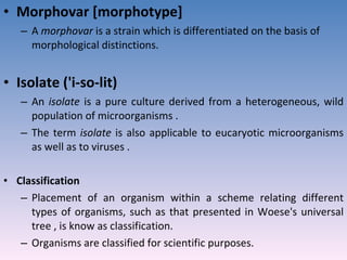 Morphovar [morphotype]  A  morphovar  is a strain which is differentiated on the basis of morphological distinctions.  Isolate ('i-so-lit)  An  isolate  is a pure culture derived from a heterogeneous, wild population of microorganisms .  The term  isolate  is also applicable to eucaryotic microorganisms as well as to viruses .  Classification  Placement of an organism within a scheme relating different types of organisms, such as that presented in Woese's universal tree , is know as classification.  Organisms are classified for scientific purposes.  