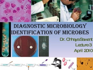 Diagnostic Microbiology Identification of Microbes Dr. Chhaya Sawant Lecture 3  April 2010 