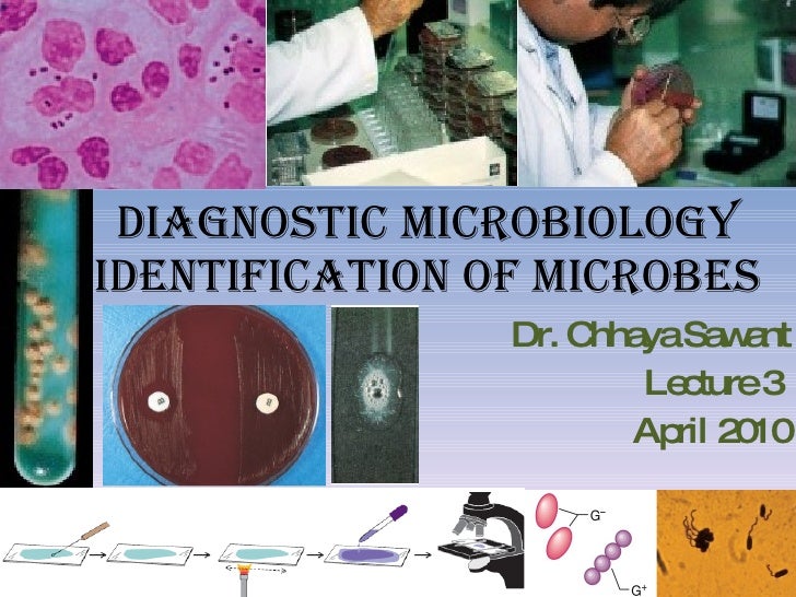 Diagnostic Microbiology Traditional And Modern Approach