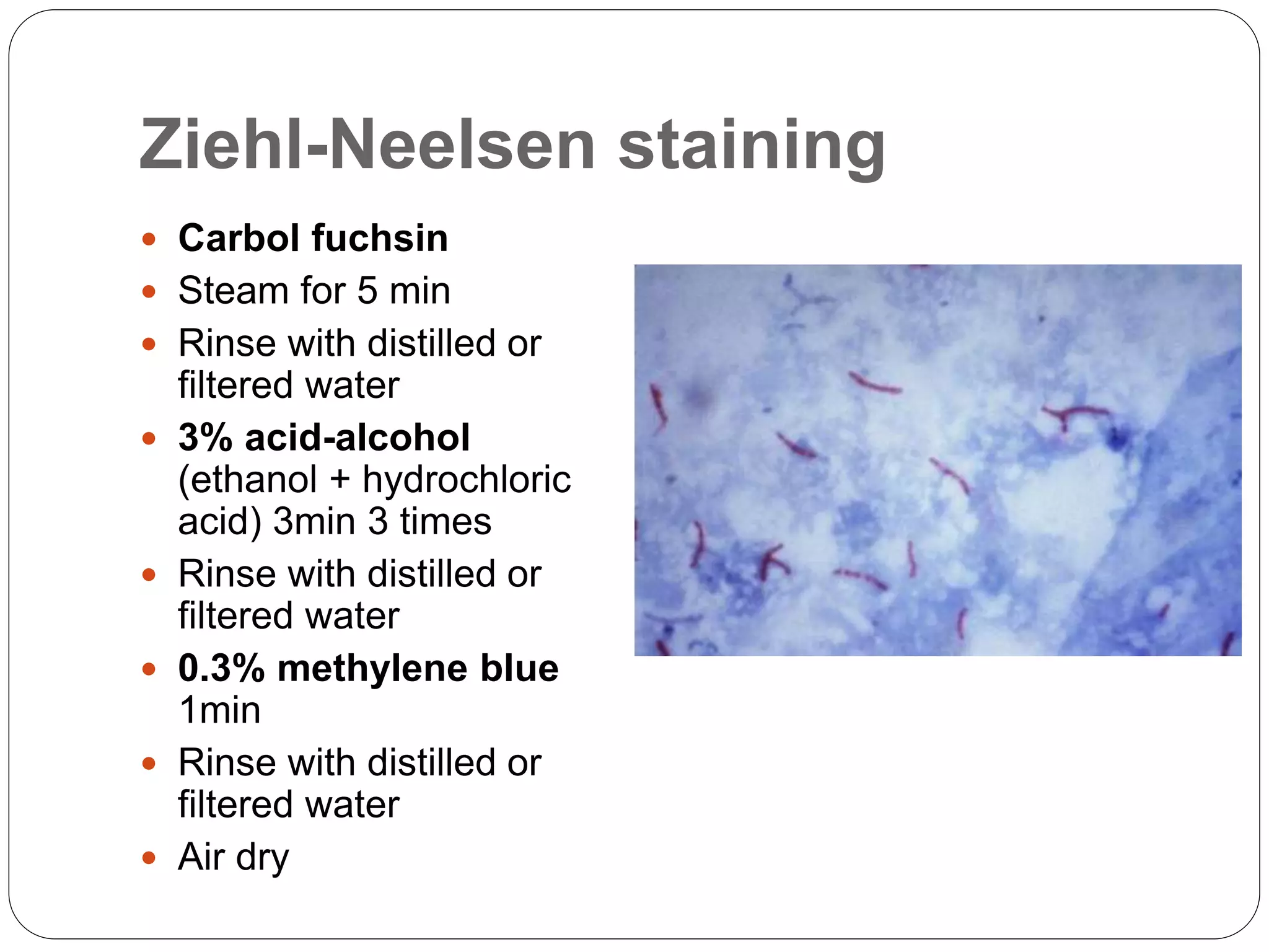 Ziehl-Neelsen staining
 Carbol fuchsin
 Steam for 5 min
 Rinse with distilled or
filtered water
 3% acid-alcohol
(ethanol + hydrochloric
acid) 3min 3 times
 Rinse with distilled or
filtered water
 0.3% methylene blue
1min
 Rinse with distilled or
filtered water
 Air dry
 