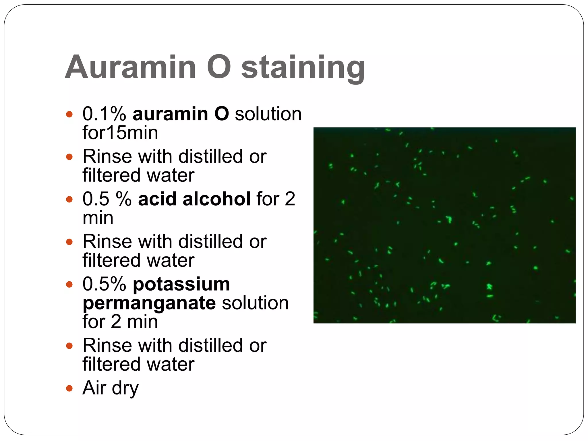 Auramin O staining
 0.1% auramin O solution
for15min
 Rinse with distilled or
filtered water
 0.5 % acid alcohol for 2
min
 Rinse with distilled or
filtered water
 0.5% potassium
permanganate solution
for 2 min
 Rinse with distilled or
filtered water
 Air dry
 