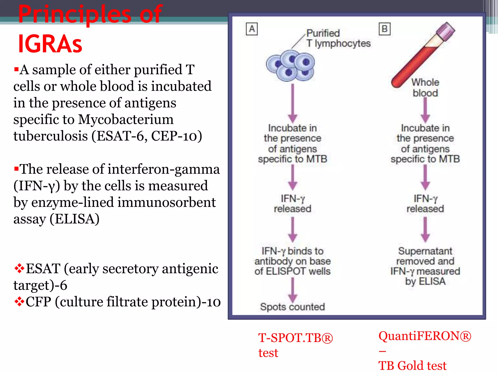 Principles of
IGRAs
A sample of either purified T
cells or whole blood is incubated
in the presence of antigens
specific to Mycobacterium
tuberculosis (ESAT-6, CEP-10)
The release of interferon-gamma
(IFN-γ) by the cells is measured
by enzyme-lined immunosorbent
assay (ELISA)
ESAT (early secretory antigenic
target)-6
CFP (culture filtrate protein)-10
T-SPOT.TB®
test
QuantiFERON®
–
TB Gold test
 