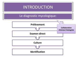INTRODUCTION
Le diagnostic mycologique:
Identification
Culture
Examen direct
Prélèvement
Collaboration
clinicien/ biologiste
 