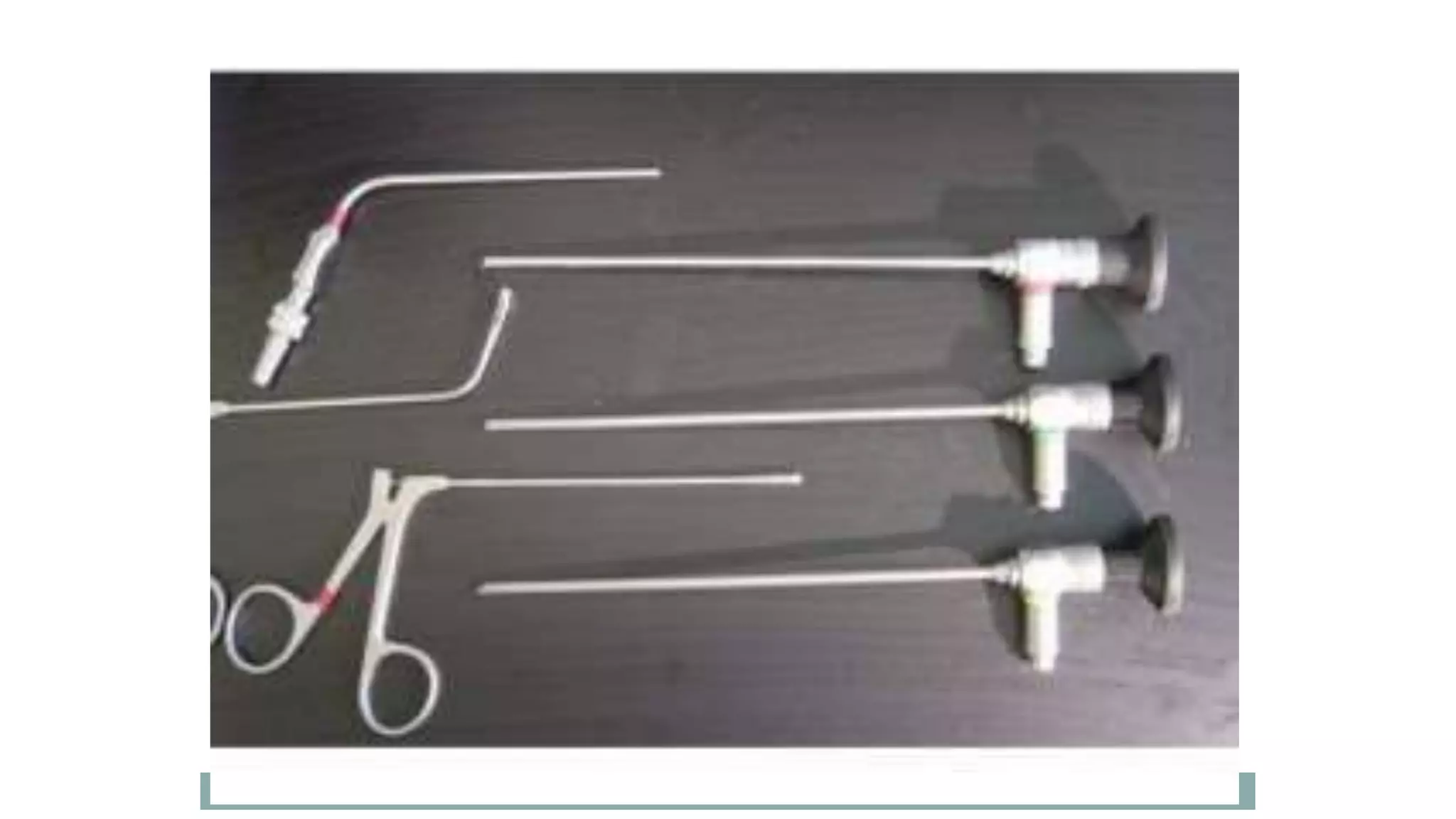 Nose Inspection Device Diagnostic nasal endoscopy | PPTX