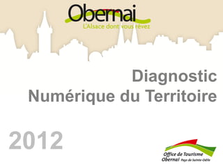 Diagnostic
 Numérique du Territoire

2012
 