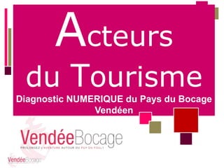 Acteurs

du Tourisme
Diagnostic NUMERIQUE du Pays du Bocage
Vendéen

 