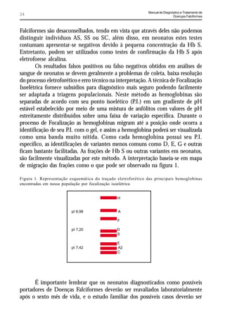 Manual de Diagnóstico e Tratamento de
24                                                                            Doenças Falciformes



Falciformes são desaconselhados, tendo em vista que através deles não podemos
distinguir indivíduos AS, SS ou SC, além disso, em neonatos estes testes
costumam apresentar-se negativos devido à pequena concentração da Hb S.
Entretanto, podem ser utilizados como testes de confirmação da Hb S após
eletroforese alcalina.
       Os resultados falsos positivos ou falso negativos obtidos em análises de
sangue de neonatos se devem geralmente a problemas de coleta, baixa resolução
do processo eletroforético e erro técnico na interpretação. A técnica de Focalização
Isoelétrica fornece subsídios para diagnóstico mais seguro podendo facilmente
ser adaptada a triagens populacionais. Neste método as hemoglobinas são
separadas de acordo com seu ponto isoelético (P.I.) em um gradiente de pH
estável estabelecido por meio de uma mistura de anfólitos com valores de pH
estreitamente distribuídos sobre uma faixa de variação específica. Durante o
processo de Focalização as hemoglobinas migram até a posição onde ocorra a
identificação de seu P.I. com o gel, e assim a hemoglobina poderá ser visualizada
como uma banda muito nítida. Como cada hemoglobina possui seu P.I.
específico, as identificações de variantes menos comuns como D, E, G e outras
ficam bastante facilitadas. As frações de Hb S ou outras variantes em neonatos,
são facilmente visualizadas por este método. A interpretação baseia-se em mapa
de migração das frações como o que pode ser observado na figura 1.

Figura 1. Representação esquemática do traçado eletroforético das principais hemoglobinas
encontradas em nossa população por focalização isoelétrica


                                               H


                         pI 6,98                A

                                               F

                         pI 7,20               D
                                               S

                                               E
                         pI 7,42               A2
                                               C




      É importante lembrar que os neonatos diagnosticados como possíveis
portadores de Doenças Falciformes deverão ser reavaliados laboratorialmente
após o sexto mês de vida, e o estudo familiar dos possíveis casos deverão ser
 