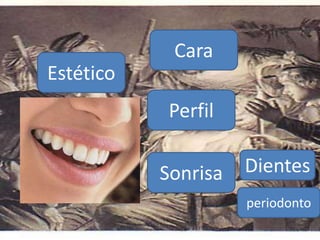 Estético
Cara
Perfil
Sonrisa Dientes
periodonto
 