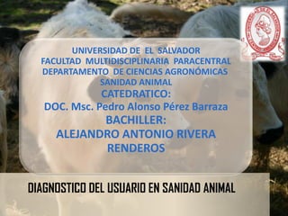 UNIVERSIDAD DE EL SALVADOR
FACULTAD MULTIDISCIPLINARIA PARACENTRAL
DEPARTAMENTO DE CIENCIAS AGRONÓMICAS
SANIDAD ANIMAL

CATEDRATICO:
DOC. Msc. Pedro Alonso Pérez Barraza

BACHILLER:
ALEJANDRO ANTONIO RIVERA
RENDEROS
DIAGNOSTICO DEL USUARIO EN SANIDAD ANIMAL

 