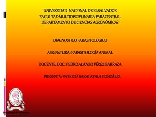 UNIVERSIDAD NACIONAL DE EL SALVADOR 
FACULTAD MULTIDISCIPLINARIA PARACENTRAL 
DEPARTAMENTO DE CIENCIAS AGRONÓMICAS 
DIAGNOSTICO PARASITOLÓGICO 
ASIGNATURA: PARASITOLOGÍA ANIMAL 
DOCENTE: DOC. PEDRO ALANZO PÉREZ BARRAZA 
PRESENTA: PATRICIA SARAI AYALA GONZÁLEZ 
 