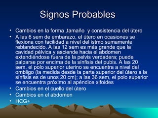 Signos Probables
Signos Probables
• Cambios en la forma ,tamaño y consistencia del útero
• A las 6 sem de embarazo, el útero en ocasiones se
flexiona con facilidad a nivel del istmo sumamente
reblandecido. A las 12 sem es más grande que la
cavidad pélvica y asciende hacia el abdomen
extendiéndose fuera de la pelvis verdadera; puede
palparse por encima de la sínfisis del pubis. A las 20
sem, el polo superior uterino se encuentra a nivel del
ombligo (la medida desde la parte superior del útero a la
sínfisis es de unos 20 cm); a las 36 sem, el polo superior
se encuentra próximo al apéndice xifoides
• Cambios en el cuello del útero
• Cambios en el abdomen
• HCG+
 
