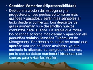 • Cambios Mamarios (Hipersensibilidad)
• Debido a la acción del estrógeno y la
progesterona, sus pechos se tornarán más
grandes y pesados y serán más sensibles al
tacto desde el comienzo. Los depósitos de
grasa aumentan y se desarrollan nuevos
conductos para la leche. La areola que rodea
los pezones se torna más oscura y aparecen allí
pequeños nódulos llamados Tubérculos de
Montgomery. Por debajo de la piel,se notará que
aparece una red de líneas azuladas, ya que
aumenta la afluencia de sangre a las mamas,
por lo que se deben mantener hidratadas con
cremas para evitar las estrías.
 