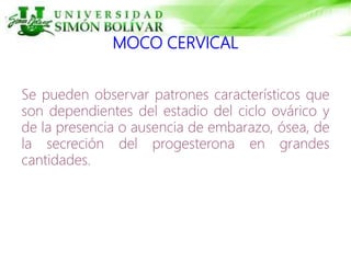 MOCO CERVICAL
Se pueden observar patrones característicos que
son dependientes del estadio del ciclo ovárico y
de la presencia o ausencia de embarazo, ósea, de
la secreción del progesterona en grandes
cantidades.
 
