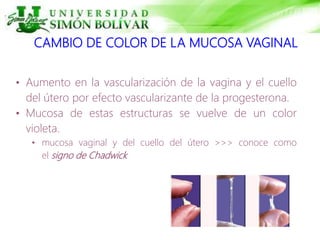 CAMBIO DE COLOR DE LA MUCOSA VAGINAL
• Aumento en la vascularización de la vagina y el cuello
del útero por efecto vascularizante de la progesterona.
• Mucosa de estas estructuras se vuelve de un color
violeta.
• mucosa vaginal y del cuello del útero >>> conoce como
el signo de Chadwick
 