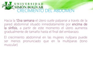 CRECIMIENTO DEL ABDOMEN
Hacia la 12va semana el útero suele palparse a través de la
pared abdominal situado inmediatamente por encima de
la sínfisis, a partir de este momento el útero aumenta
gradualmente de tamaño hasta el final del embarazo.
El crecimiento abdominal en las mujeres nulípara puede
ser menos pronunciado que en la multíparas (tono
muscular)
 