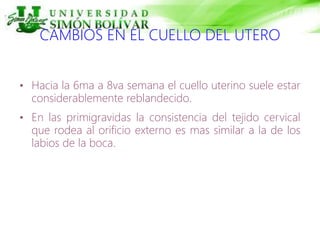 CAMBIOS EN EL CUELLO DEL UTERO
• Hacia la 6ma a 8va semana el cuello uterino suele estar
considerablemente reblandecido.
• En las primigravidas la consistencia del tejido cervical
que rodea al orificio externo es mas similar a la de los
labios de la boca.
 