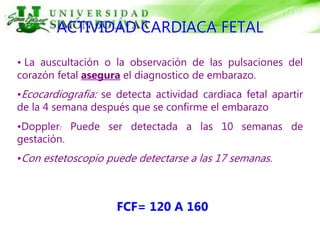 ACTIVIDAD CARDIACA FETAL
• La auscultación o la observación de las pulsaciones del
corazón fetal asegura el diagnostico de embarazo.
•Ecocardiografía: se detecta actividad cardiaca fetal apartir
de la 4 semana después que se confirme el embarazo
•Doppler: Puede ser detectada a las 10 semanas de
gestación.
•Con estetoscopio puede detectarse a las 17 semanas.
FCF= 120 A 160
 