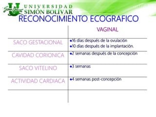 RECONOCIMIENTO ECOGRAFICO
VAGINAL
SACO GESTACIONAL 16 días después de la ovulación
10 días después de la implantación.
CAVIDAD CORIONICA 2 semanas después de la concepción
SACO VITELINO 3 semanas
ACTIVIDAD CARDIACA 4 semanas post-concepción
 