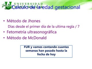 Calculo de la edad gestacional
• Método de Jhones
Días desde el primer día de la ultima regla / 7
• Fetometría ultrasonográfica
• Método de McDonald
FUR y vamos contando cuantas
semanas han pasado hasta la
fecha de hoy
 
