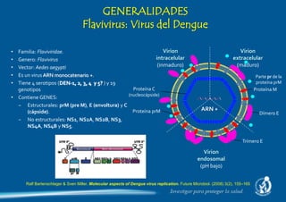 Virus Racket Ralf DIAGNOSTICO-DENGUE-2021.pdf