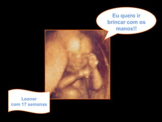Leonor com 17 semanas Eu quero ir brincar com os manos!! 