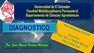 Universidad de El Salvador
Facultad Multidisciplinaria Paracentral
Departamento de Ciencias Agronómicas

DIAGNOSTICO
Por: Juan Ramón Paredes Mendoza

 