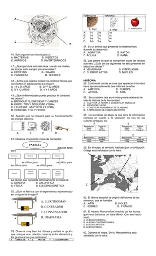 46. Son organismos microscópicos
A. BACTERIAS B. INSECTOS
C. ANFIBIOS D. INVERTEBRADOS
47. ¿Qué glándula está afectada cuando los niveles
de azúcar en la sangre son anormales?
A. HIPÓFISIS B. HÍGADO
C. PÁNCREAS D. TIROIDES
48. ¿Entre qué edades inician los cambios físicos que
convierten en adolescente a la mujer?
A. 18 y 24 AÑOS B. 20 Y 22 AÑOS
C. 9 Y 12 AÑOS D. 4 Y 6 AÑOS
49. ¿Qué enfermedades puede producir el consumo
de tabaco?
A. BRONQUITIS, ENFISEMA Y CANCER
B. GRIPE, TOS Y DEBILIDAD VISUAL
C. LEUCEMIA, GASTRITIS Y LEPRA
D. CIRROSIS, TOS Y FIEBRE
50. Aparato que no requiere para su funcionamiento
de energía eléctrica
A B C D
51. Observa el siguiente mapa de conceptos
algunos tipos
son:
se utiliza para se utiliza para
se utiliza para se utiliza para
La opción que completa correctamente el mapa es:
A. SONORA B. CALORÍFICA
C. FÍSICA D. ELECTROAGNÉTICA
52. ¿Qué se fabrica con el experimento representado
en la siguiente imagen?
53. Observa muy bien los dibujos y señala la opción
que marque una relación correcta entre alimentos y
los grupos a los que pertenecen
1. CEREALES Y 2. FRUTAS Y 3. LEGUMINOSAS
TUBÉRCULOS VERDURAS
b. frijol a. trigo c. manzana
A. 1-c 2-b 3-a
B. 1-a 2-b 3-c
C. 1-a 2-c 3-b
D. 1-b 2-a 3-c
54. Es un animal que presenta la metamorfosis
durante su desarrollo.
A. LAGARTIJA B. RATÓN
C. ÁGUILA D. RANA
55. Las partes de que se componen todas las células
son tres. ¿Cuál de las siguientes no está presente en
todas las células?
A. MEMBRANA B. CITOPLASMA
C. CLOROPLASTOS D. NÚCLEO
HISTORIA
56. Continente donde se cree que apareció el hombre
hace aproximadamente dos millones de años
A. AMÉRICA B. EUROPA
C. ÁFRICA D. ASIA
57. Se considera que es el más grande adelanto de
toda la historia de la humanidad.
A. CULTIVAR LA TIERRA Y DOMESTICAR ANIMALES
B. PRODUCIR FUEGO
C. CONSTRUIR HERRAMIENTAS DE HIERRO
D. FABRICACIÓN DE VASIJAS DE BARRO
58. De las tablas de abajo, la que tiene la información
correcta en cuanto a la ubicación de ríos en las
culturas antiguas, es:
A B
Mesopotamia Hoang Ho Mesopotamia Eúfrates
Egipto Nilo Egipto Nilo
China Eúfrates China Hoang Ho
C D
Mesopotamia Hoang Ho Mesopotamia Nilo
Egipto Eúfrates Egipto Hoang Ho
China Nilo China Eúfrates
59. En el mapa, el territorio habitado por la civilización
Griega está señalado con la letra:
60. El idioma español se originó del idioma de los
romanos, que se llamaba:
A. LATÍN B. INGLÉS
C. HEBREO D. FRANCO
61. El Imperio Romano fue invadido por los hunos,
guerreros bárbaros del Asia Menor. Con ese hecho
inició
A. LA EDAD MODERNA
B. LA EDAD CONTEMPORÁNEA
C. LA EDAD ANTIGUA
D. LA EDAD MEDIA
62. Observa el mapa. En él, Mesoamérica está
señalado con la letra:
A
C
D
DC
B
ENERGÍA
Luminosa Química Eléctrica
iluminar
Fabricar
productos calentar
Hacer
funcionar
aparatos
A. ELECTROIMÁN
B. GENERADOR
C. CONSENSADOR
D. DIAGRAMA
 